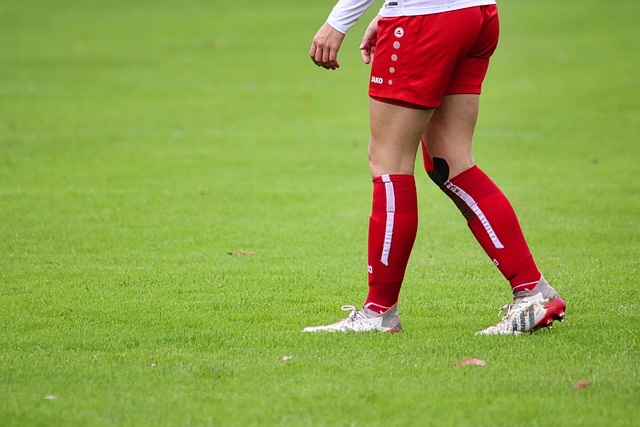 从实力特征 从实力特征