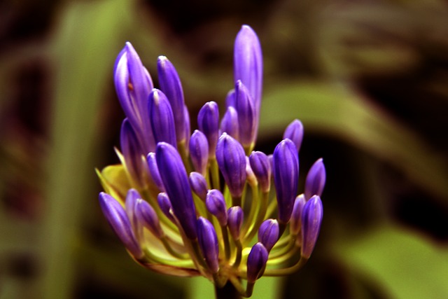 深度学习和 深度学习和