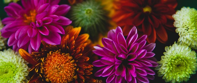 這一案例證 這一案例證