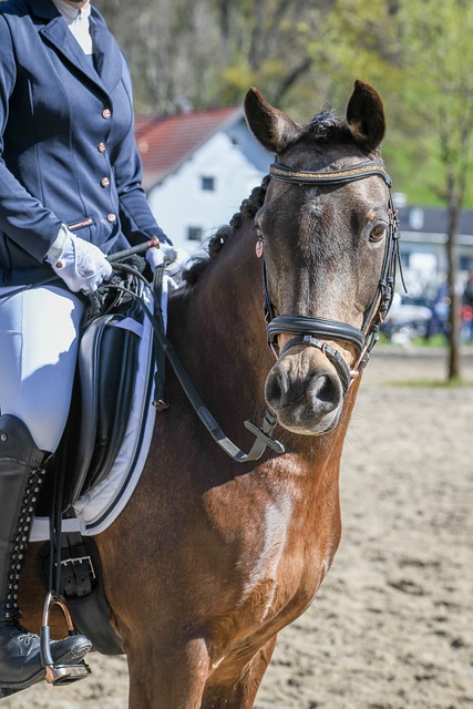 托马斯-穆勒：希望勒沃库森能够出现失误！多特已掉队.
