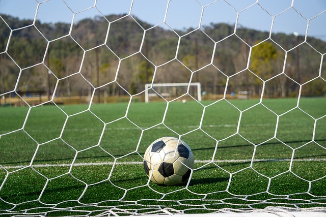 儘管慶祝入 儘管慶祝入